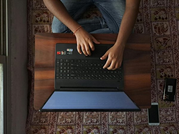 What Are the Most Unique Pets to Consider in the UK?